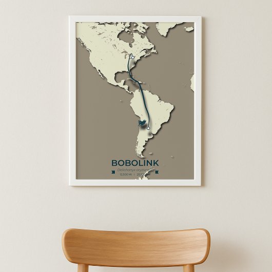 Bobolink-migratiekaart – minimalistische Vintage Poster