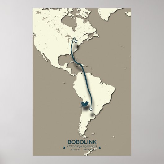 Bobolink Migratiekaart – Minimalistische Vogel Poster (Voorkant)