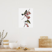 Bobolink van Audubon Poster (Keuken)