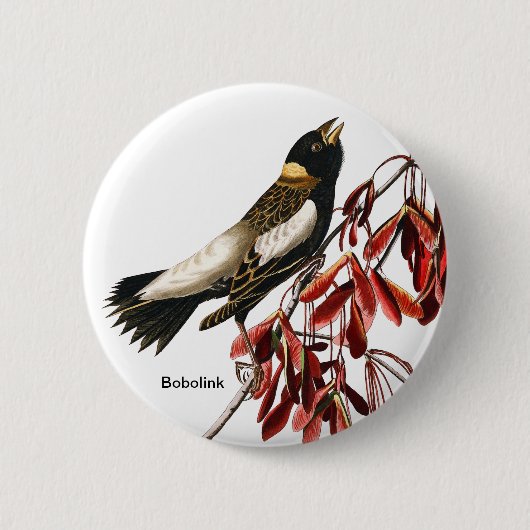 Bobolink van John James Audubon, Birder, Rice Bird Ronde Button 5,7 Cm (Voorkant)