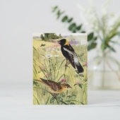 Bobolinks, Daisies en roze klaver Briefkaart (Staand voorkant)