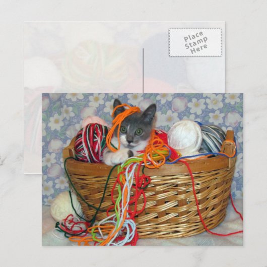 Bob's Fun met Yarn Briefkaart (Voorkant / Achterkant)