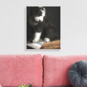 Bobtail puppy portret in studio canvas afdruk (Insitu (Woonkamer))