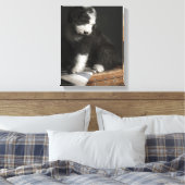 Bobtail puppy portret in studio canvas afdruk (Insitu (Slaapkamer))