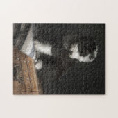 Bobtail puppy portret in studio legpuzzel (Horizontaal)