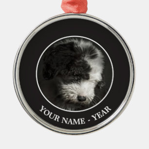 Bobtail puppy portret in studio metalen ornament