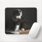 Bobtail puppy portret in studio muismat (Met muis)