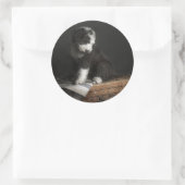 Bobtail puppy portret in studio ronde sticker (Tas)