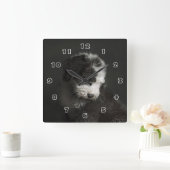 Bobtail puppy portret in studio vierkante klok (Huis)