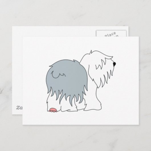 Bobtail Sheepdog Briefkaart (Voorkant / Achterkant)