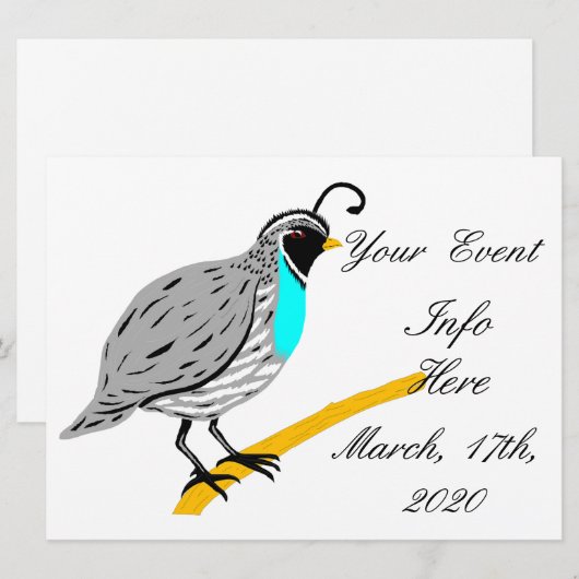 Bobwhite Blue-throated Quail Thunder_Cove (Voorkant / Achterkant)