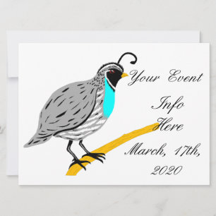 Bobwhite Blue-throated Quail Thunder_Cove