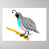 Bobwhite Blue-throated Quail Thunder_Cove Poster (Voorkant)