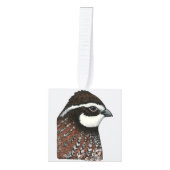 Bobwhite Kwartalkop Decoratie (Voorkant)