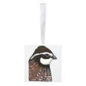 Bobwhite Kwartalkop Decoratie (Rechts)