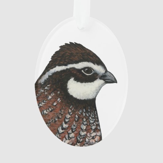 Bobwhite Kwartalkop Ornament (achterkant)