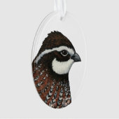 Bobwhite Kwartalkop Ornament (voorkant)