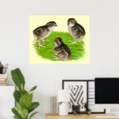 Bobwhite Kwartel Kuikens Poster (Thuiskantoor)
