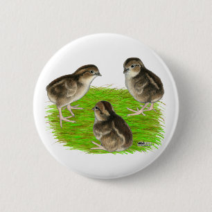 Bobwhite Kwartel Kuikens Ronde Button 5,7 Cm