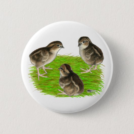 Bobwhite Kwartel Kuikens Ronde Button 5,7 Cm (Voorkant)