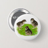 Bobwhite Kwartel Kuikens Ronde Button 5,7 Cm (Voorkant /achterkant)