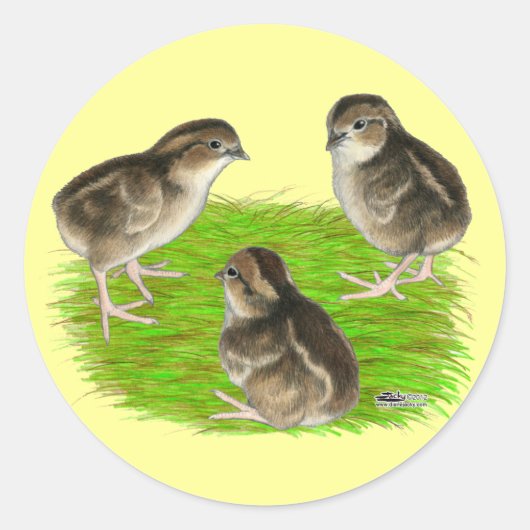 Bobwhite Kwartel Kuikens Ronde Sticker (Voorkant)