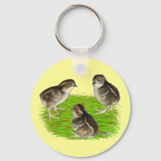 Bobwhite Kwartel Kuikens Sleutelhanger (Voorkant)