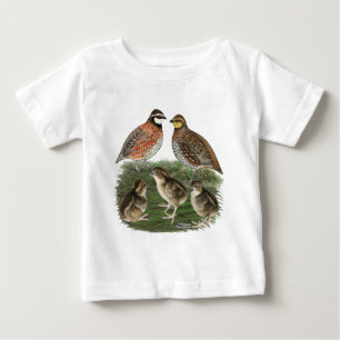 Bobwhite Kwartelfamilie