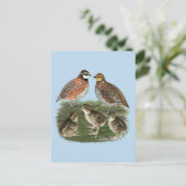 Bobwhite Kwartelfamilie Briefkaart (Staand voorkant)