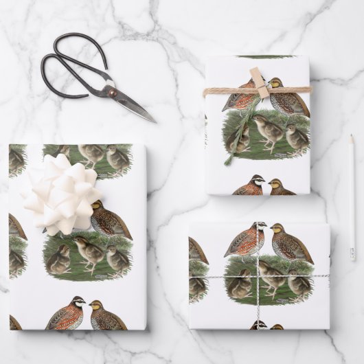 Bobwhite Kwartelfamilie Inpakpapier Vel (Voorkant)
