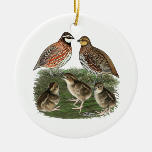 Bobwhite Kwartelfamilie Keramisch Ornament (Voorkant)