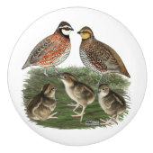 Bobwhite Kwartelfamilie Keramische Knop (Voorkant)
