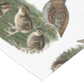 Bobwhite Kwartelfamilie Korte Tafelloper (Hoek)