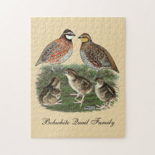 Bobwhite Kwartelfamilie Legpuzzel