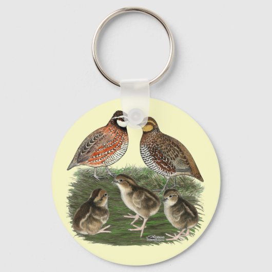 Bobwhite Kwartelfamilie Sleutelhanger (Voorkant)