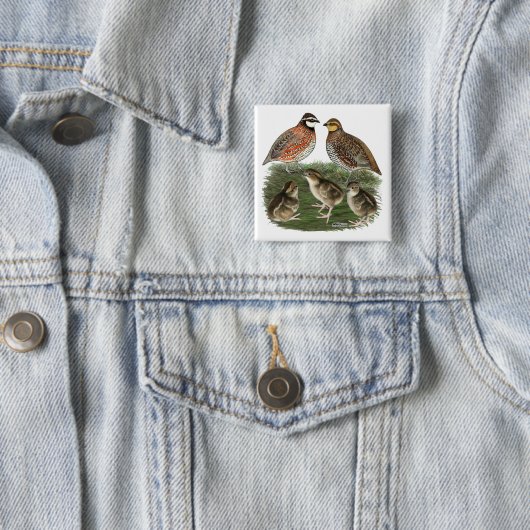 Bobwhite Kwartelfamilie Vierkante Button 5,1 Cm (In situ)