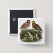 Bobwhite Kwartelfamilie Vierkante Button 5,1 Cm (Voorkant /achterkant)