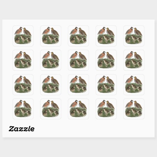 Bobwhite Kwartelfamilie Vierkante Sticker (Vel)
