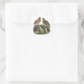 Bobwhite Kwartelfamilie Vierkante Sticker (Tas)