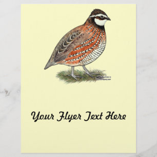 Bobwhite Kwartelhaan Flyer