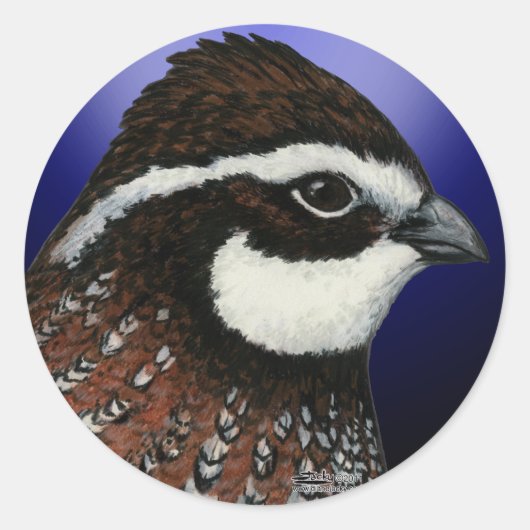 Bobwhite Kwartels Hoekje Ronde Sticker (Voorkant)