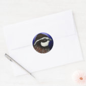 Bobwhite Kwartels Hoekje Ronde Sticker (Envelop)