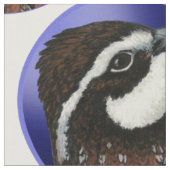 Bobwhite Kwartels Hoekje Stof (Close Up)