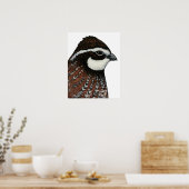 Bobwhite Kwartelskop Poster (Keuken)