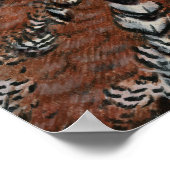 Bobwhite Kwartelskop Poster (Hoek)