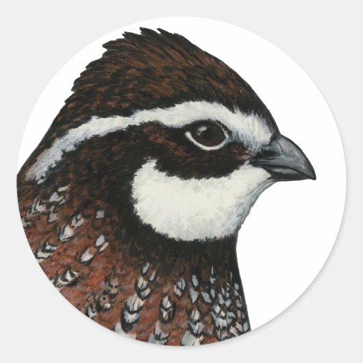 Bobwhite Kwartelskop Ronde Sticker (Voorkant)