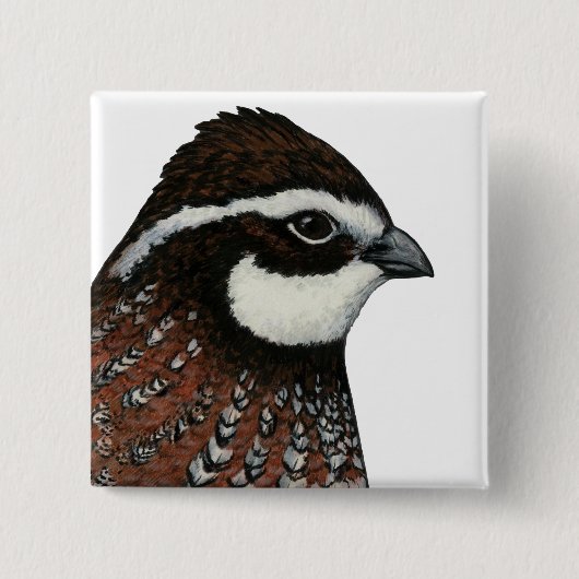 Bobwhite Kwartelskop Vierkante Button 5,1 Cm (Voorkant)