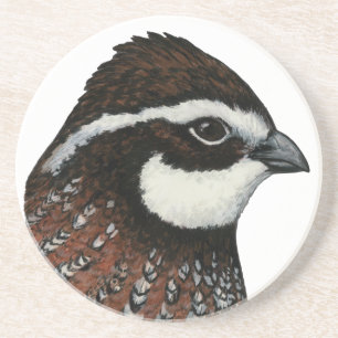 Bobwhite Kwartelskop Zandsteen Onderzetter