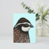 Bobwhite Quail Briefkaart (Staand voorkant)