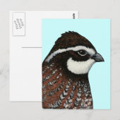 Bobwhite Quail Briefkaart (Voorkant / Achterkant)